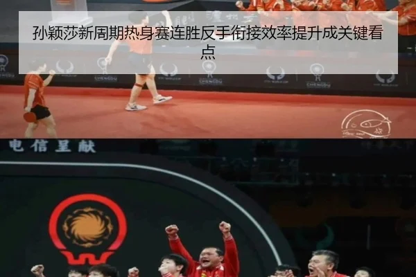 孙颖莎新周期热身赛连胜反手衔接效率提升成关键看点 - www.jiuyou..comapp