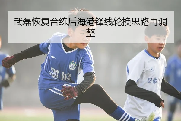 武磊恢复合练后海港锋线轮换思路再调整 - www.jiuyou..comapp