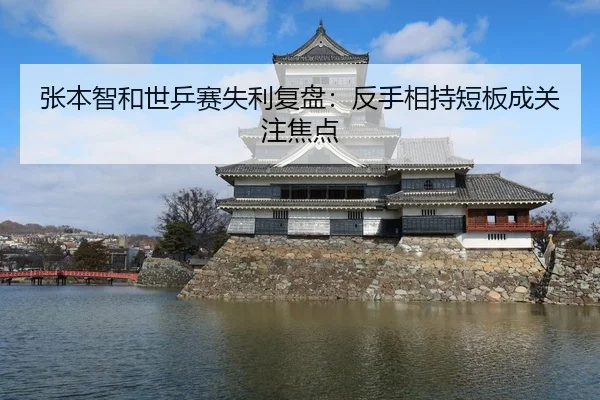 张本智和世乒赛失利复盘：反手相持短板成关注焦点（www.jiuyou..comapp）