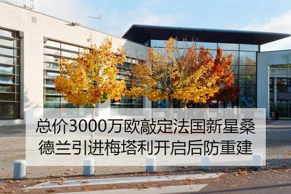 总价3000万欧敲定法国新星桑德兰引进梅塔利开启后防重建（www.jiuyou..comapp）