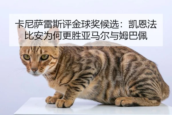 卡尼萨雷斯评金球奖候选：凯恩法比安为何更胜亚马尔与姆巴佩（www.jiuyou..comapp）